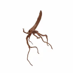 XL Red Spider Wurzel Nr.6871 Fingerwurzel Echtholz Deko Aquascaping -Haus Dekoration Verkaufsgeschäft XL Red Spider Wurzel Nr 6870 Fingerwurzel Echtholz Deko Aquascaping 6871 2 30490