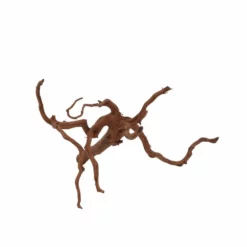 XL Red Spider Wurzel Nr.6872 Fingerwurzel Echtholz Deko Aquascaping -Haus Dekoration Verkaufsgeschäft XL Red Spider Wurzel Nr 6871 Fingerwurzel Echtholz Deko Aquascaping 6872 4 30491