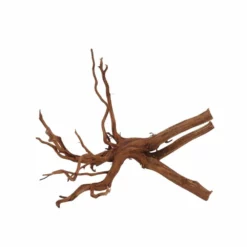 XL Red Spider Wurzel Nr.6874 Fingerwurzel Echtholz Deko Aquascaping -Haus Dekoration Verkaufsgeschäft XL Red Spider Wurzel Nr 6873 Fingerwurzel Echtholz Deko Aquascaping 6874 3 30493