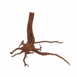 XL Red Spider Wurzel Nr.6876 Fingerwurzel Echtholz Deko Aquascaping -Haus Dekoration Verkaufsgeschäft XL Red Spider Wurzel Nr 6875 Fingerwurzel Echtholz Deko Aquascaping 6876 2 30495