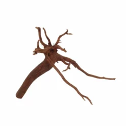 XL Red Spider Wurzel Nr.6876 Fingerwurzel Echtholz Deko Aquascaping -Haus Dekoration Verkaufsgeschäft XL Red Spider Wurzel Nr 6875 Fingerwurzel Echtholz Deko Aquascaping 6876 4 30495