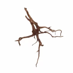 XL Red Spider Wurzel Nr.6877 Fingerwurzel Echtholz Deko Aquascaping -Haus Dekoration Verkaufsgeschäft XL Red Spider Wurzel Nr 6876 Fingerwurzel Echtholz Deko Aquascaping 6877 2 30496