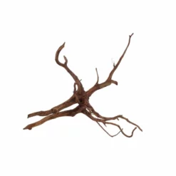 XL Red Spider Wurzel Nr.6877 Fingerwurzel Echtholz Deko Aquascaping -Haus Dekoration Verkaufsgeschäft XL Red Spider Wurzel Nr 6876 Fingerwurzel Echtholz Deko Aquascaping 6877 4 30496