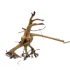 XL Siennawurzel Nr.7536 Wurzel Holz Aquarium Deko Aquascaping
