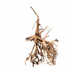 XL Siennawurzel Nr.3059 Wurzel Holz Aquarium Deko Aquascaping 5 XL Siennawurzel Nr.3059 Wurzel Holz Aquarium Deko Aquascaping -Haus Dekoration Verkaufsgeschäft XL Siennawurzel Nr 3058 Wurzel Holz Aquarium Deko Aquascaping 3059 3 26051