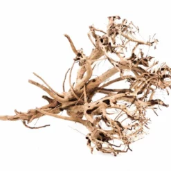 XL Siennawurzel Nr.3059 Wurzel Holz Aquarium Deko Aquascaping 7 XL Siennawurzel Nr.3059 Wurzel Holz Aquarium Deko Aquascaping -Haus Dekoration Verkaufsgeschäft XL Siennawurzel Nr 3058 Wurzel Holz Aquarium Deko Aquascaping 3059 4 26051