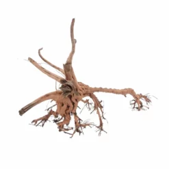 XL Siennawurzel Nr.3807 Wurzel Holz Aquarium Deko Aquascaping -Haus Dekoration Verkaufsgeschäft XL Siennawurzel Nr 3806 Wurzel Holz Aquarium Deko Aquascaping 3807 2 26956