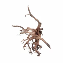 XL Siennawurzel Nr.3807 Wurzel Holz Aquarium Deko Aquascaping -Haus Dekoration Verkaufsgeschäft XL Siennawurzel Nr 3806 Wurzel Holz Aquarium Deko Aquascaping 3807 4 26956