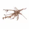 XL Siennawurzel Nr.3810 Wurzel Holz Aquarium Deko Aquascaping