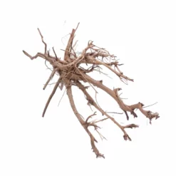XL Siennawurzel Nr.3810 Wurzel Holz Aquarium Deko Aquascaping -Haus Dekoration Verkaufsgeschäft XL Siennawurzel Nr 3809 Wurzel Holz Aquarium Deko Aquascaping 3810 2 Kopie 26959