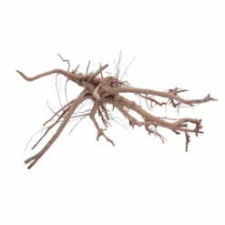XL Siennawurzel Nr.3810 Wurzel Holz Aquarium Deko Aquascaping -Haus Dekoration Verkaufsgeschäft XL Siennawurzel Nr 3809 Wurzel Holz Aquarium Deko Aquascaping 3810 3 Kopie 26959