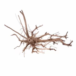 XL Siennawurzel Nr.3810 Wurzel Holz Aquarium Deko Aquascaping -Haus Dekoration Verkaufsgeschäft XL Siennawurzel Nr 3809 Wurzel Holz Aquarium Deko Aquascaping 3810 4 Kopie 26959
