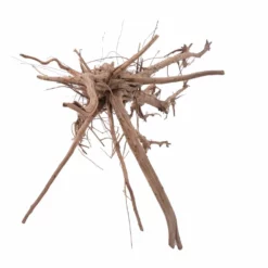 XL Siennawurzel Nr.3810 Wurzel Holz Aquarium Deko Aquascaping -Haus Dekoration Verkaufsgeschäft XL Siennawurzel Nr 3809 Wurzel Holz Aquarium Deko Aquascaping 3810 5 Kopie 26959