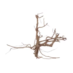 Titelseite -Haus Dekoration Verkaufsgeschäft XL Siennawurzel Nr 5330 Wurzel Holz Aquarium Deko Aquascaping 5331 2 28634