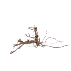 XL Siennawurzel Nr.5331 Wurzel Holz Aquarium Deko Aquascaping -Haus Dekoration Verkaufsgeschäft XL Siennawurzel Nr 5330 Wurzel Holz Aquarium Deko Aquascaping 5331 3 28634