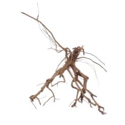XL Siennawurzel Nr.5331 Wurzel Holz Aquarium Deko Aquascaping -Haus Dekoration Verkaufsgeschäft XL Siennawurzel Nr 5330 Wurzel Holz Aquarium Deko Aquascaping 5331 4 28634