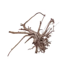 XL Siennawurzel Nr.5335 Wurzel Holz Aquarium Deko Aquascaping -Haus Dekoration Verkaufsgeschäft XL Siennawurzel Nr 5334 Wurzel Holz Aquarium Deko Aquascaping 5335 3 28638