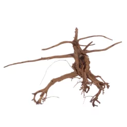 XL Siennawurzel Nr.5346 Wurzel Holz Aquarium Deko Aquascaping