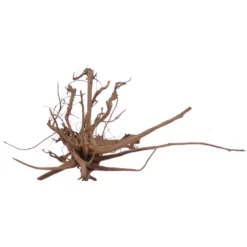 XL Siennawurzel Nr.5348 Wurzel Holz Aquarium Deko Aquascaping -Haus Dekoration Verkaufsgeschäft XL Siennawurzel Nr 5347 Wurzel Holz Aquarium Deko Aquascaping 5348 3 28652