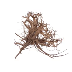 XL Siennawurzel Nr.5350 Wurzel Holz Aquarium Deko Aquascaping 6 XL Siennawurzel Nr.5350 Wurzel Holz Aquarium Deko Aquascaping -Haus Dekoration Verkaufsgeschäft XL Siennawurzel Nr 5349 Wurzel Holz Aquarium Deko Aquascaping 5350 3 28654