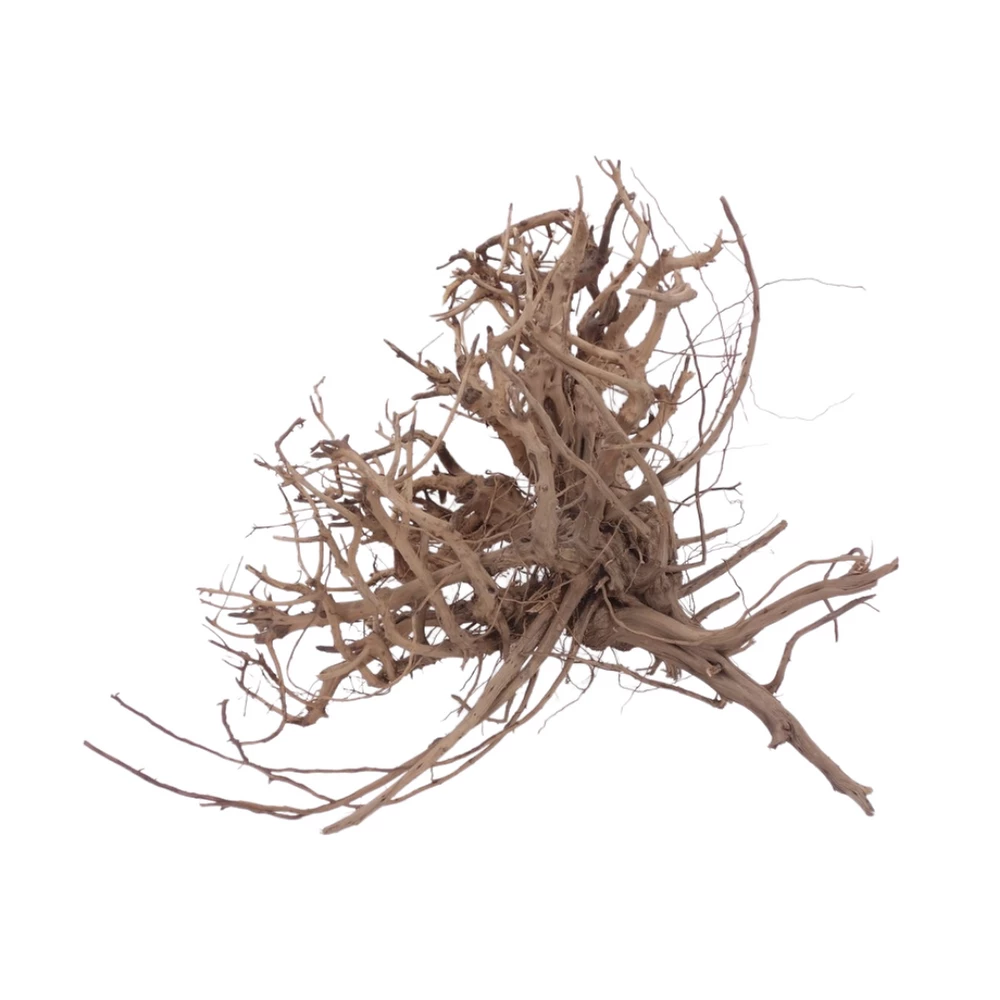 XL Siennawurzel Nr.5350 Wurzel Holz Aquarium Deko Aquascaping 4 XL Siennawurzel Nr.5350 Wurzel Holz Aquarium Deko Aquascaping – Bild 4