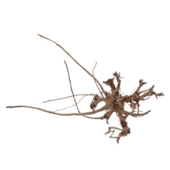 XL Siennawurzel Nr.5358 Wurzel Holz Aquarium Deko Aquascaping -Haus Dekoration Verkaufsgeschäft XL Siennawurzel Nr 5357 Wurzel Holz Aquarium Deko Aquascaping 5358 2 28662