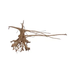 XL Siennawurzel Nr.5358 Wurzel Holz Aquarium Deko Aquascaping -Haus Dekoration Verkaufsgeschäft XL Siennawurzel Nr 5357 Wurzel Holz Aquarium Deko Aquascaping 5358 4 28662