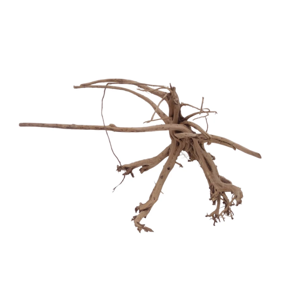 XL Siennawurzel Nr.5369 Wurzel Holz Aquarium Deko Aquascaping 1 XL Siennawurzel Nr.5369 Wurzel Holz Aquarium Deko Aquascaping