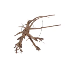 XL Siennawurzel Nr.5369 Wurzel Holz Aquarium Deko Aquascaping 5 XL Siennawurzel Nr.5369 Wurzel Holz Aquarium Deko Aquascaping -Haus Dekoration Verkaufsgeschäft XL Siennawurzel Nr 5368 Wurzel Holz Aquarium Deko Aquascaping 5369 2 28673