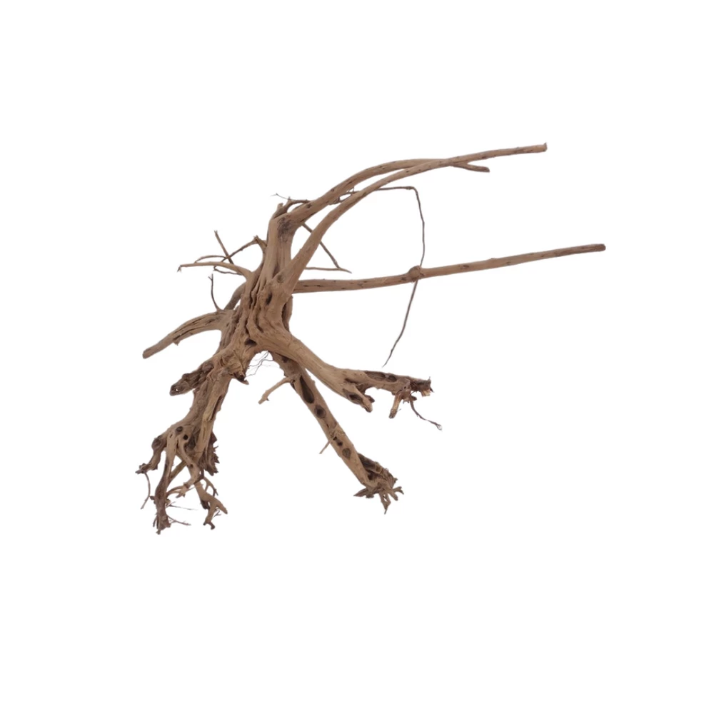 XL Siennawurzel Nr.5369 Wurzel Holz Aquarium Deko Aquascaping 2 XL Siennawurzel Nr.5369 Wurzel Holz Aquarium Deko Aquascaping – Bild 2
