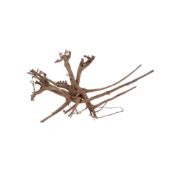 XL Siennawurzel Nr.5369 Wurzel Holz Aquarium Deko Aquascaping 6 XL Siennawurzel Nr.5369 Wurzel Holz Aquarium Deko Aquascaping -Haus Dekoration Verkaufsgeschäft XL Siennawurzel Nr 5368 Wurzel Holz Aquarium Deko Aquascaping 5369 3 28673