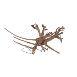 XL Siennawurzel Nr.5369 Wurzel Holz Aquarium Deko Aquascaping 7 XL Siennawurzel Nr.5369 Wurzel Holz Aquarium Deko Aquascaping -Haus Dekoration Verkaufsgeschäft XL Siennawurzel Nr 5368 Wurzel Holz Aquarium Deko Aquascaping 5369 4 28673