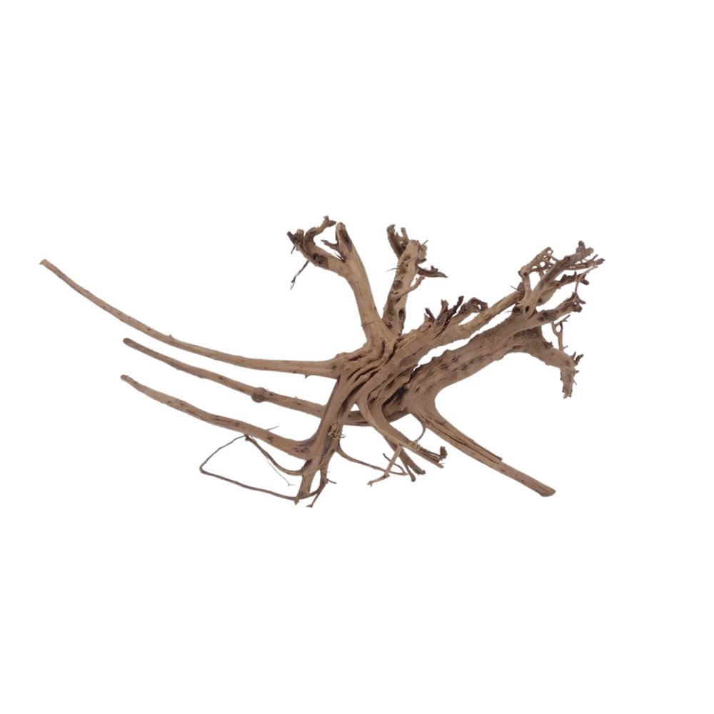 XL Siennawurzel Nr.5369 Wurzel Holz Aquarium Deko Aquascaping 4 XL Siennawurzel Nr.5369 Wurzel Holz Aquarium Deko Aquascaping – Bild 4