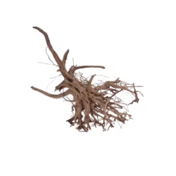 XL Siennawurzel Nr.5378 Wurzel Holz Aquarium Deko Aquascaping -Haus Dekoration Verkaufsgeschäft XL Siennawurzel Nr 5377 Wurzel Holz Aquarium Deko Aquascaping 5378 2 28682