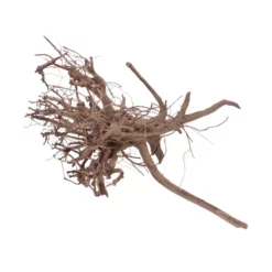 XL Siennawurzel Nr.5378 Wurzel Holz Aquarium Deko Aquascaping -Haus Dekoration Verkaufsgeschäft XL Siennawurzel Nr 5377 Wurzel Holz Aquarium Deko Aquascaping 5378 3 28682