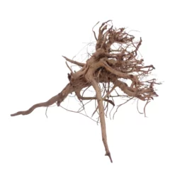 XL Siennawurzel Nr.5378 Wurzel Holz Aquarium Deko Aquascaping -Haus Dekoration Verkaufsgeschäft XL Siennawurzel Nr 5377 Wurzel Holz Aquarium Deko Aquascaping 5378 4 28682