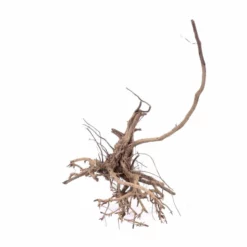 XL Siennawurzel Nr.9322 Wurzel Holz Aquarium Deko Aquascaping -Haus Dekoration Verkaufsgeschäft XL Siennawurzel Nr 9322 Wurzel Holz Aquarium Deko Aquascaping 9322 2 22429