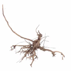 XL Siennawurzel Nr.9322 Wurzel Holz Aquarium Deko Aquascaping -Haus Dekoration Verkaufsgeschäft XL Siennawurzel Nr 9322 Wurzel Holz Aquarium Deko Aquascaping 9322 3 22429