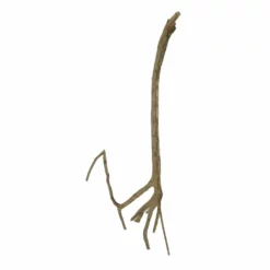 XL Talawa Wurzel Nr.2361