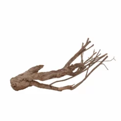 XL Talawa Wurzel Nr.7215 5 XL Talawa Wurzel Nr.7215 -Haus Dekoration Verkaufsgeschäft XL Talawa Wurzel Nr 7214 7215 2 30943