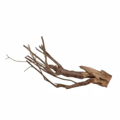 XL Talawa Wurzel Nr.7215 6 XL Talawa Wurzel Nr.7215 -Haus Dekoration Verkaufsgeschäft XL Talawa Wurzel Nr 7214 7215 3 30943