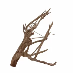 XL Talawa Wurzel Nr.7217 -Haus Dekoration Verkaufsgeschäft XL Talawa Wurzel Nr 7216 7217 2 30945