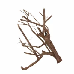 XL Talawa Wurzel Nr.7217 -Haus Dekoration Verkaufsgeschäft XL Talawa Wurzel Nr 7216 7217 3 30945