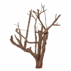 XL Talawa Wurzel Nr.7217 -Haus Dekoration Verkaufsgeschäft XL Talawa Wurzel Nr 7216 7217 4 30945