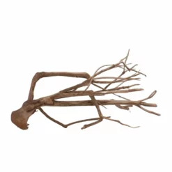 XL Talawa Wurzel Nr.7220 -Haus Dekoration Verkaufsgeschäft XL Talawa Wurzel Nr 7219 7220 2 30948