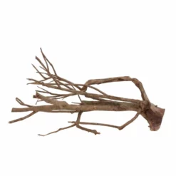 XL Talawa Wurzel Nr.7220 -Haus Dekoration Verkaufsgeschäft XL Talawa Wurzel Nr 7219 7220 3 30948