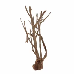 XL Talawa Wurzel Nr.7220 -Haus Dekoration Verkaufsgeschäft XL Talawa Wurzel Nr 7219 7220 4 30948