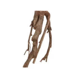 XL Talawa Wurzel Nr.7242