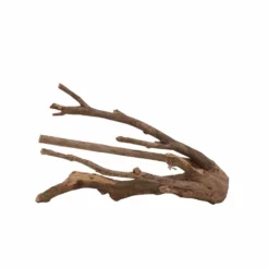 XL Talawa Wurzel Nr.7242 -Haus Dekoration Verkaufsgeschäft XL Talawa Wurzel Nr 7241 7242 3 30970