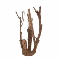 XL Talawa Wurzel Nr.7242 -Haus Dekoration Verkaufsgeschäft XL Talawa Wurzel Nr 7241 7242 4 30970